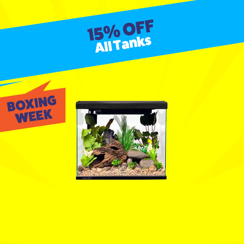 15% Off all fish tanks