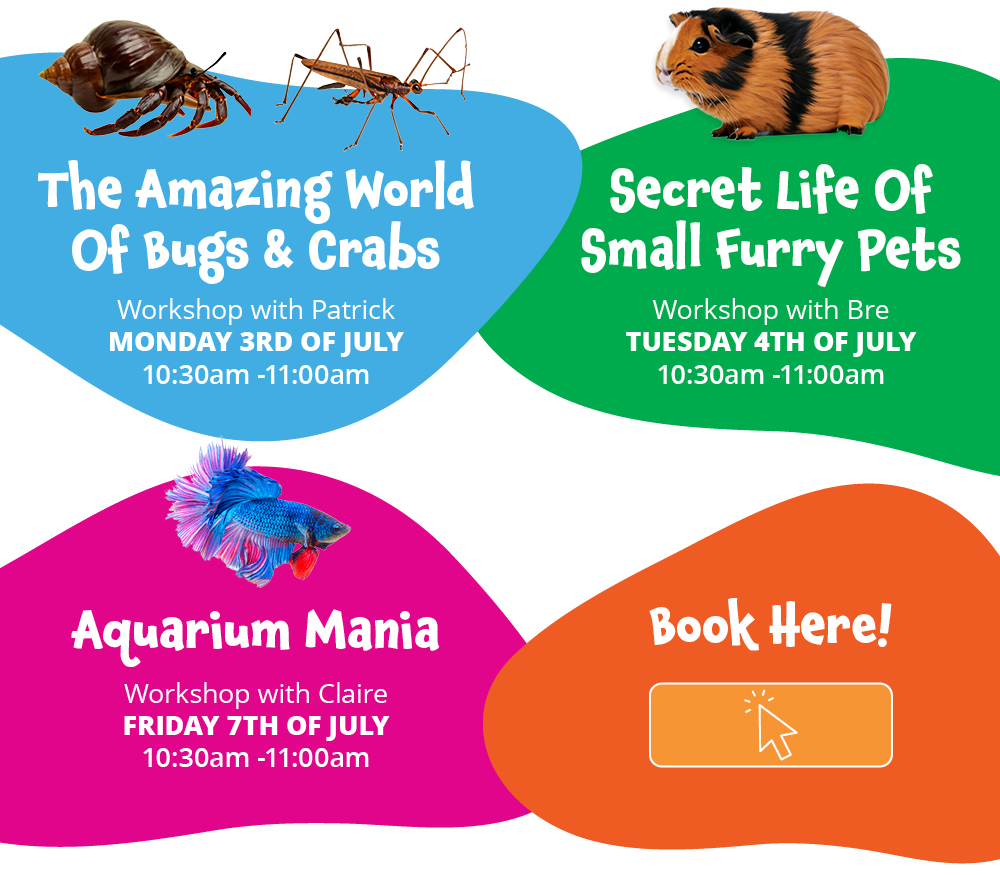 Kid Zone Free School holiday animal workshop