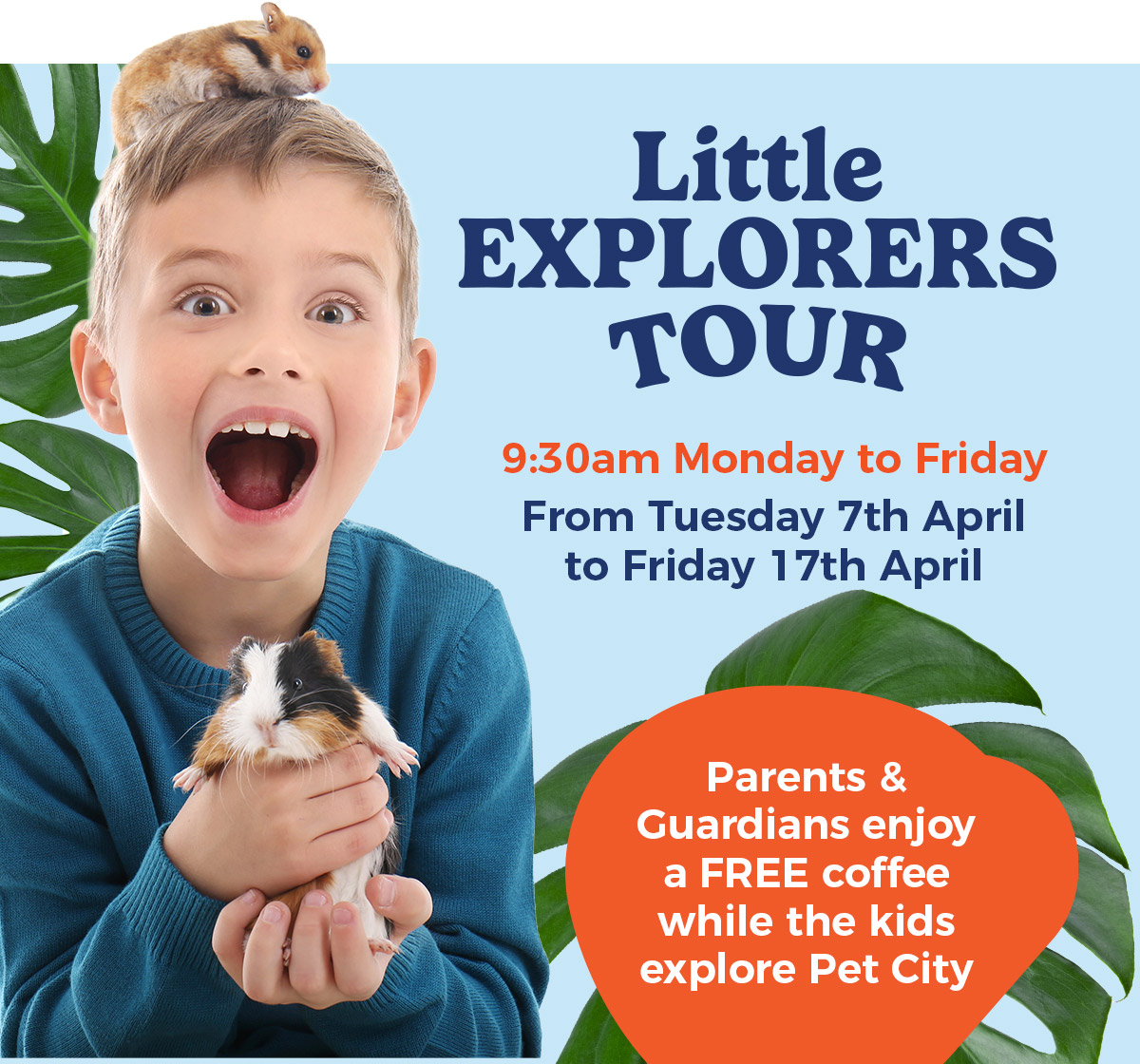 Little Adventure Tour