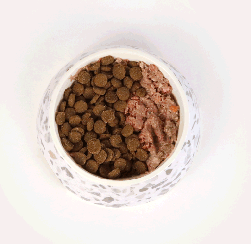 bowl with half dry food and half raw food