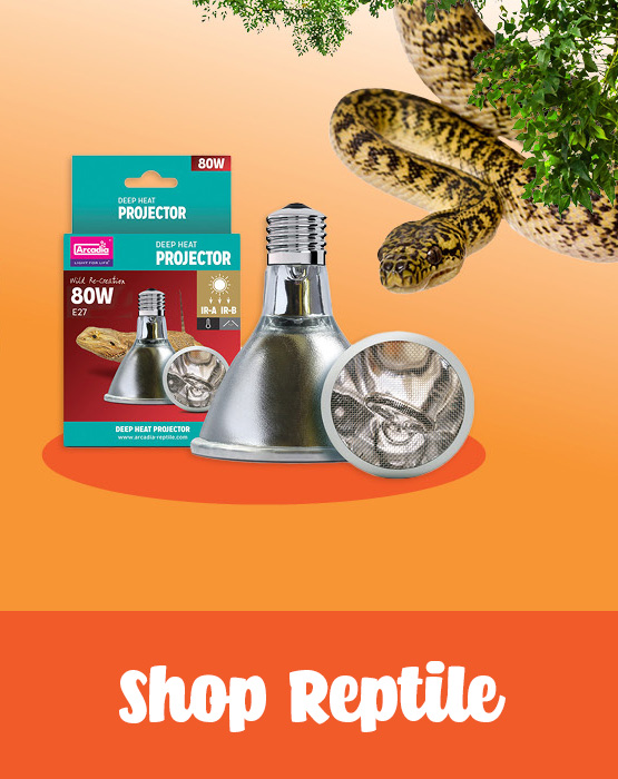 reptile heating 20% off