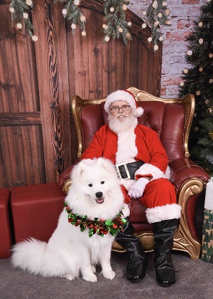 Santa Pet Photo 2023 white fluffy dog with santa