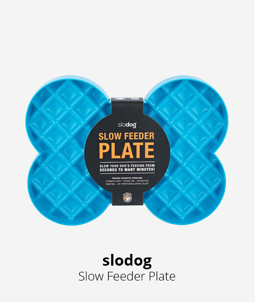 slodog slow feeder plate