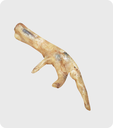 15% off yours droolly treats