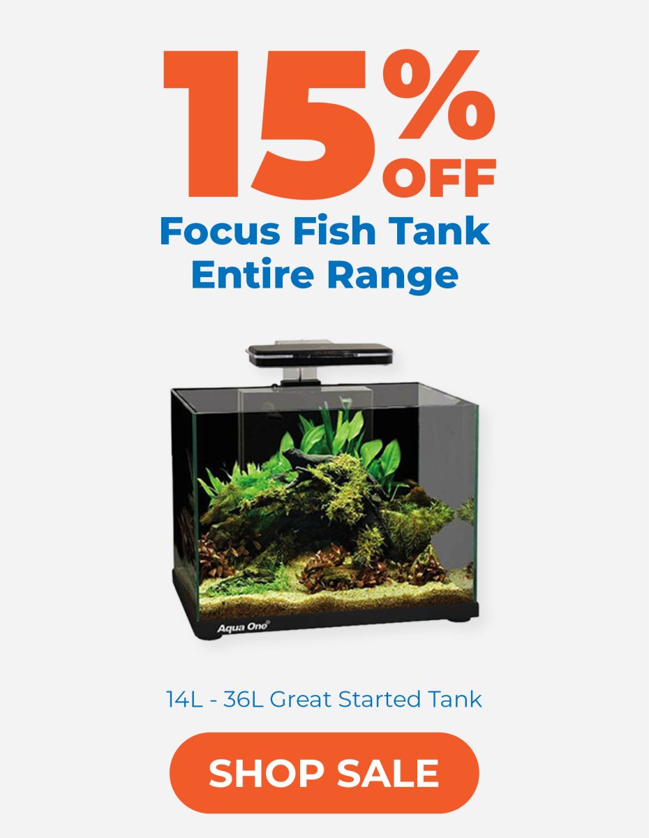 Focus Fish Tanks. Great Starter tank.