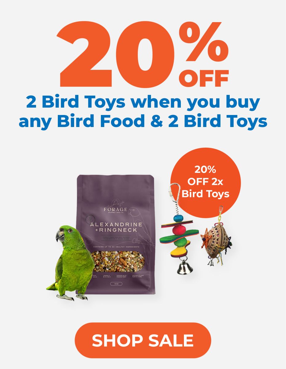 Bird Toys and Bird Food