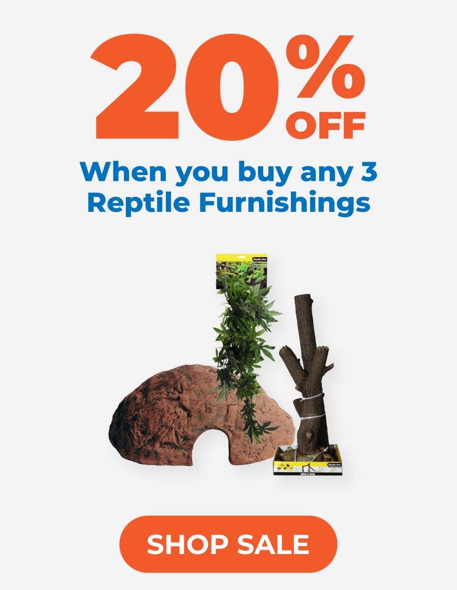 20% off when you buy any 3 reptile furnishings