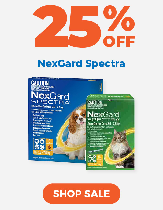 NexGard for Cats and Dogs on Special
