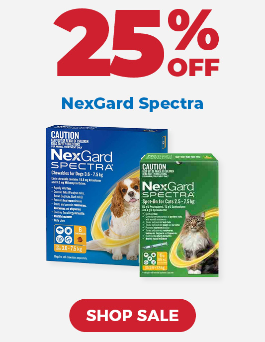 NexGard for Cats and Dogs on Special