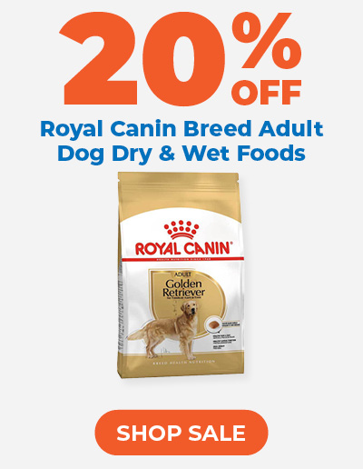 25% Off All Dog Coats