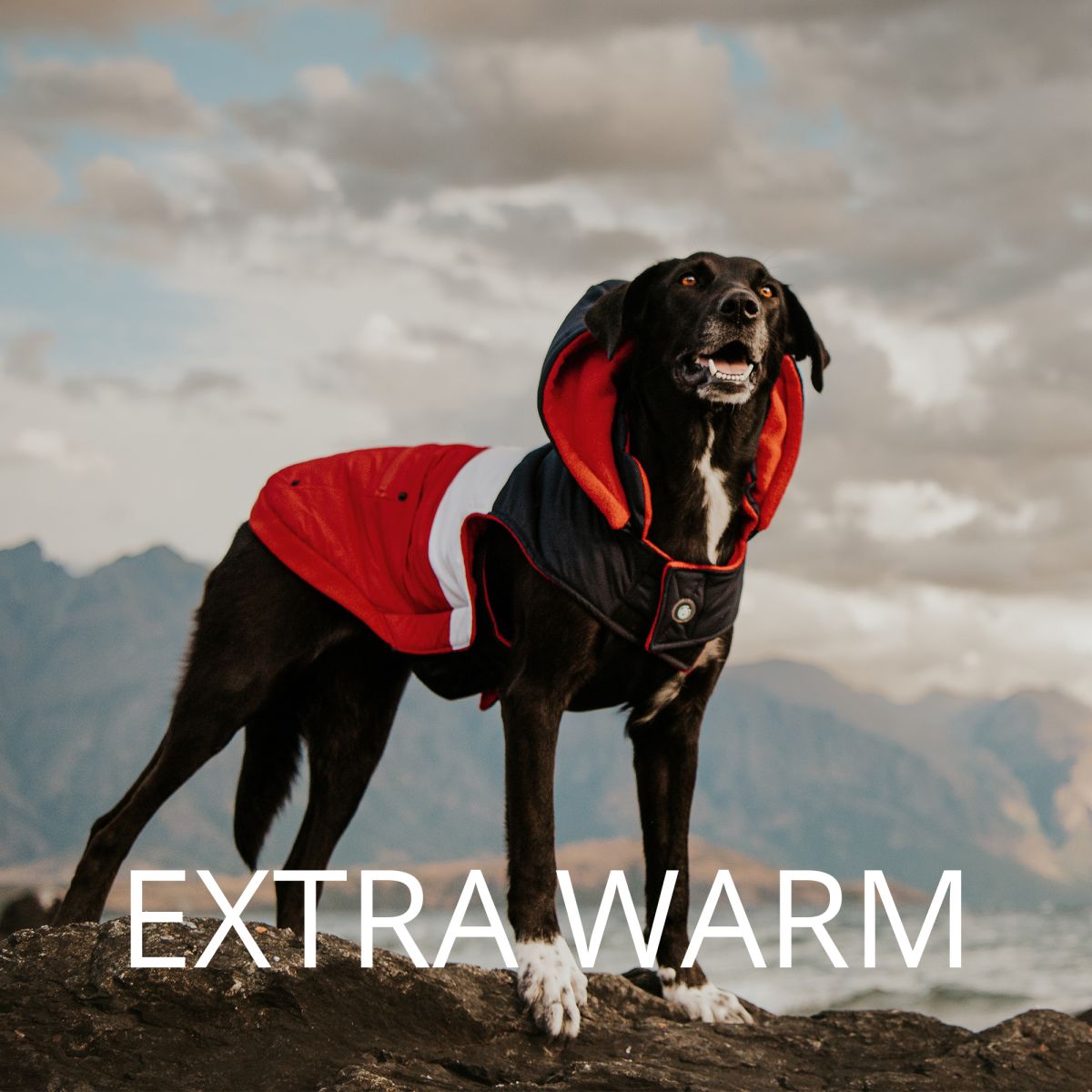 Extra Warm Dog Coats
