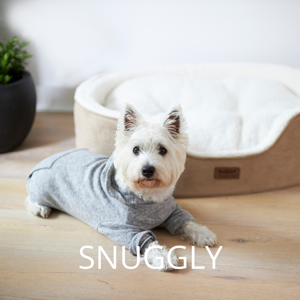 Snuggly dog coats