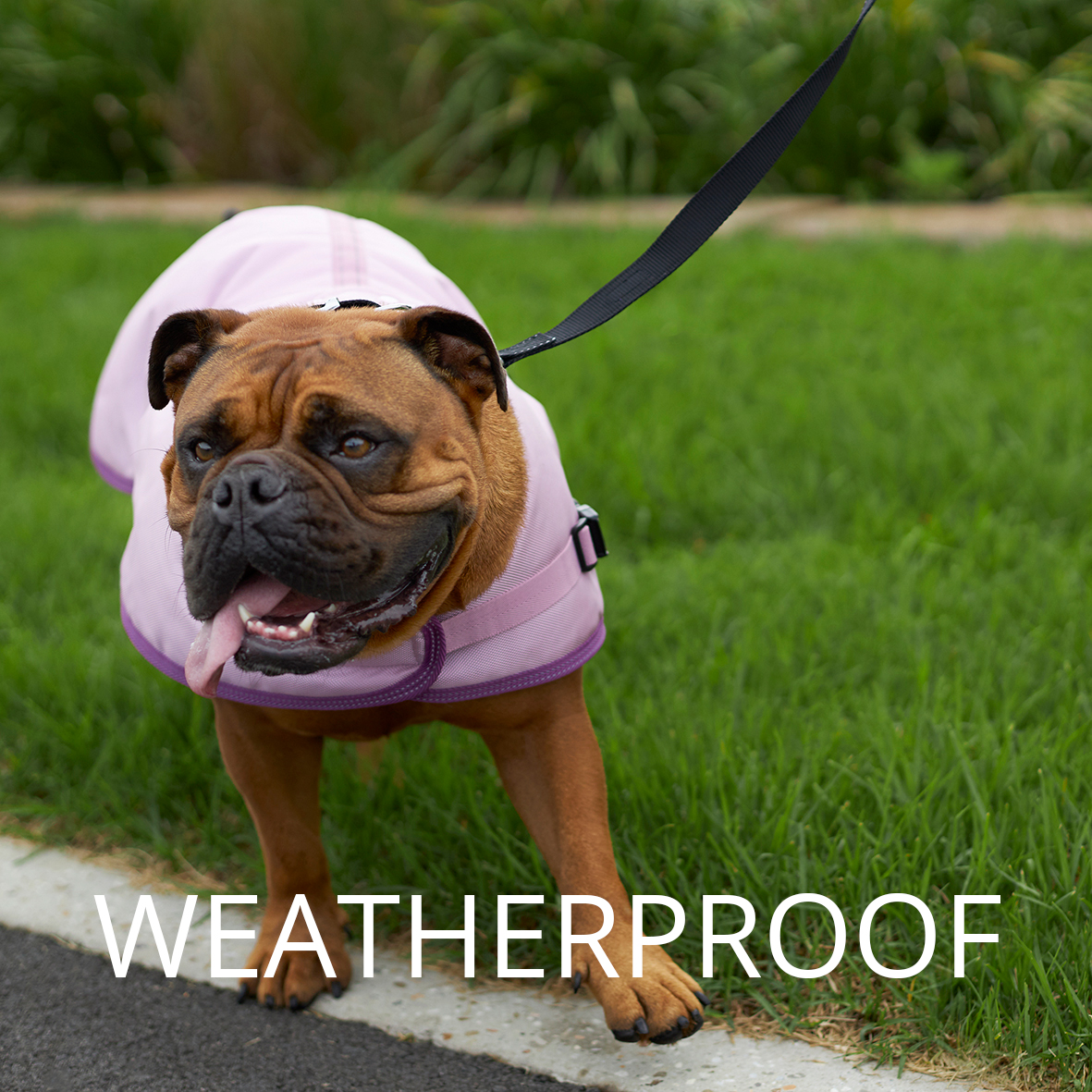 weatherproof dog coats