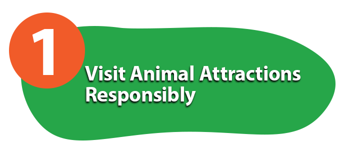 visit animal attractions responsibly