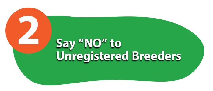 say no to unregistered breeders