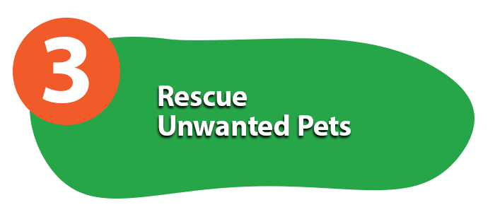 rescue unwanted pets