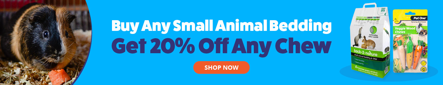 Buy any small animal bedding get 20% Off Any Chew