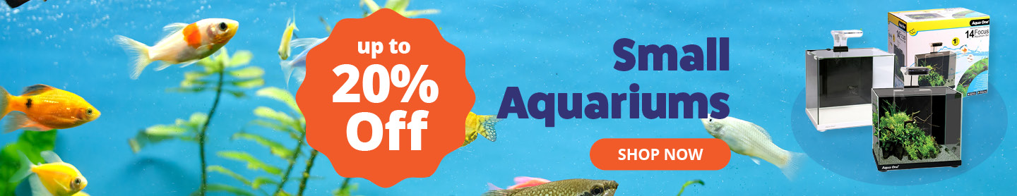 Small Aquariums up to 20% Off 