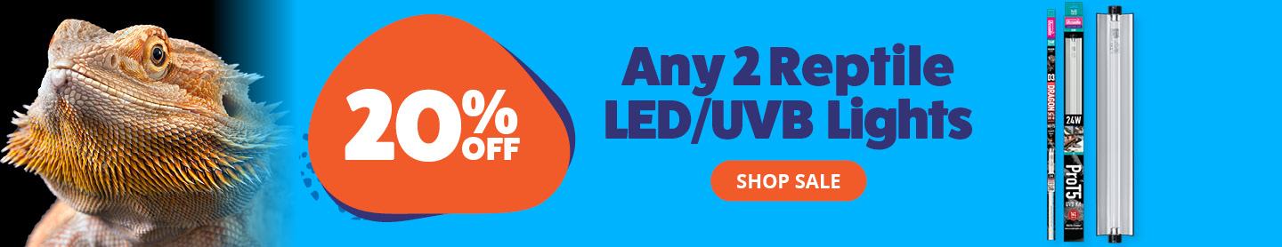 Any 2 Reptile LED/UVB lights 20% Off 