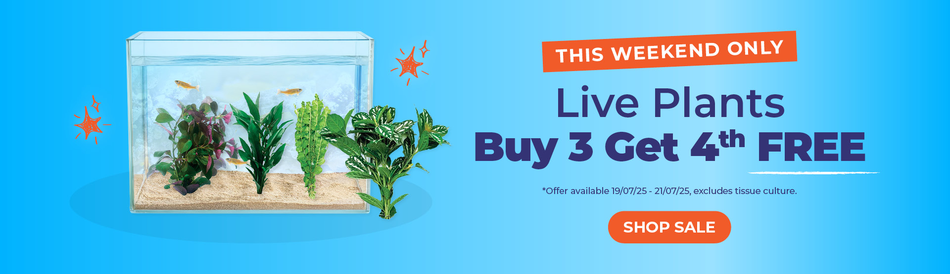 Live Plants Buy 3 Get 4th FREE