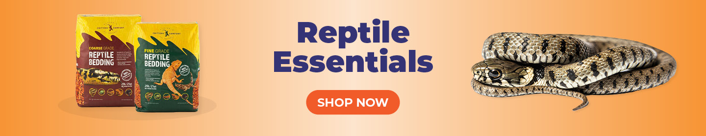 Shop Reptile Essentials