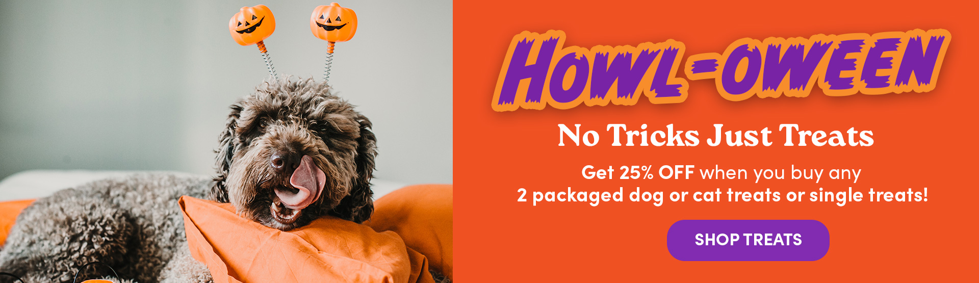 Howl-oween Special on Cat and Dog Treats