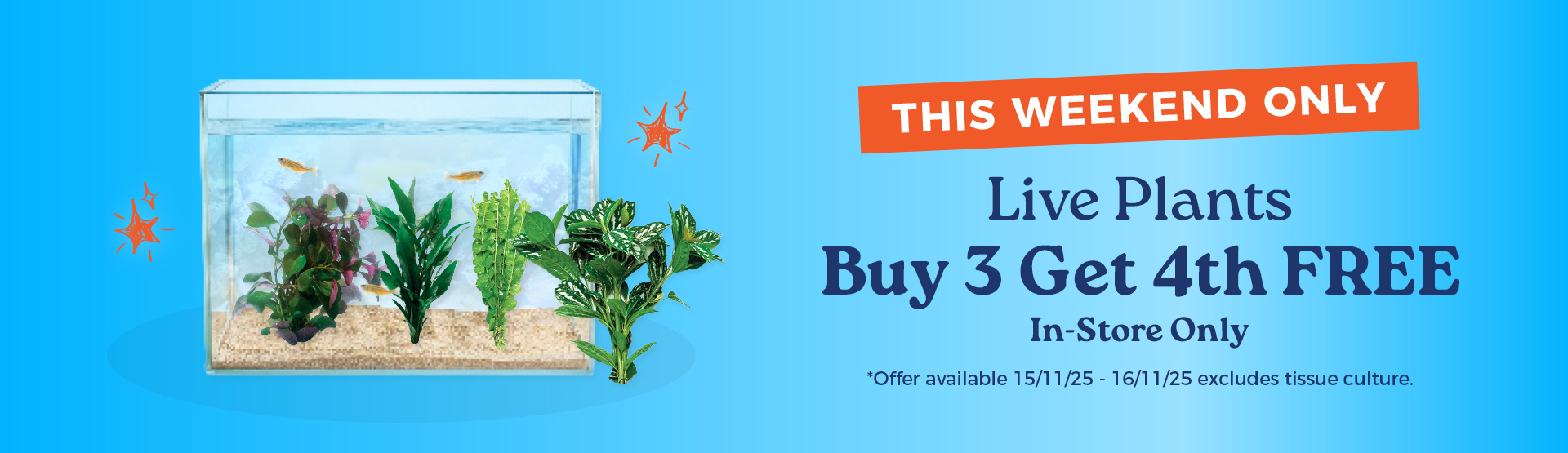 Live Plant Sale Buy 3 Get 4th Free
