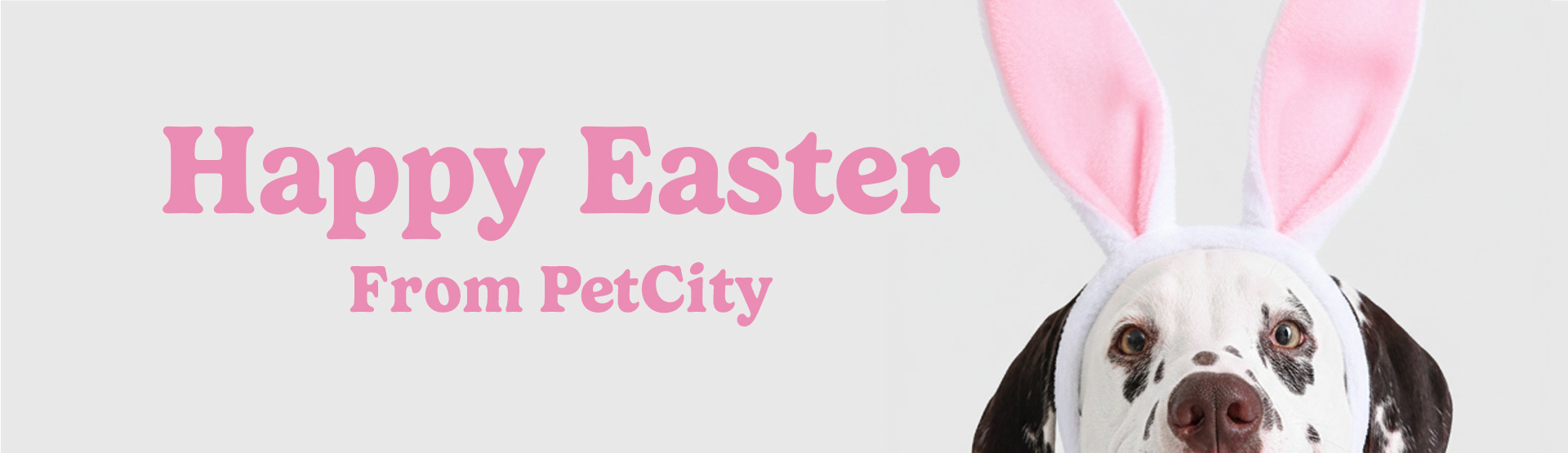 Happy Easter from Pet City