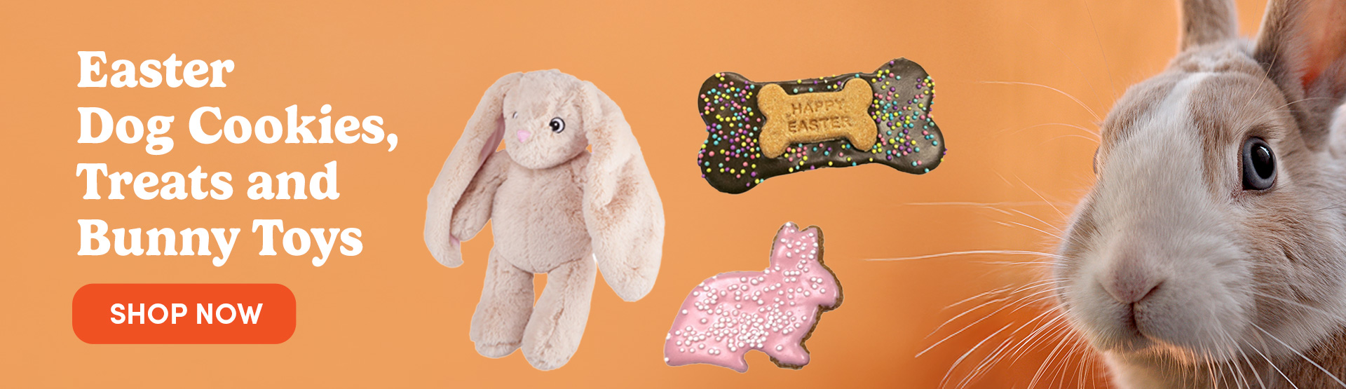 Easter Dog Cookies, Treats and Toys