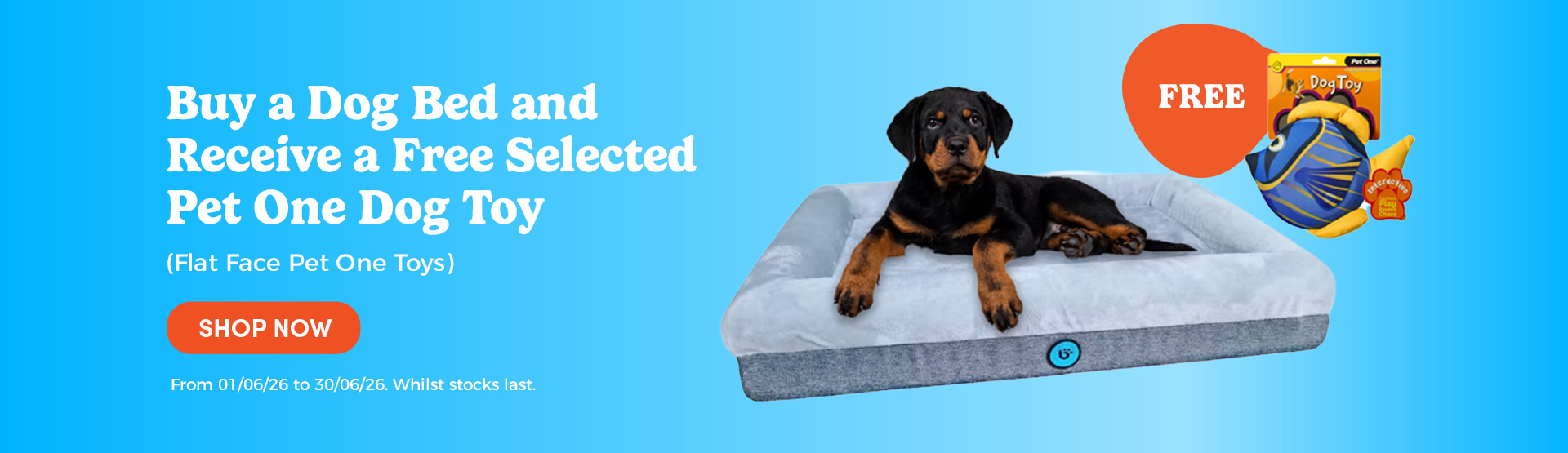 Buy a Dog Bed and Receive a Free Selected Pet One