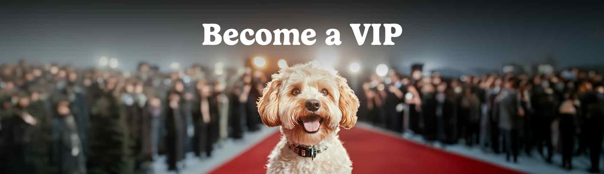 Become a VIP