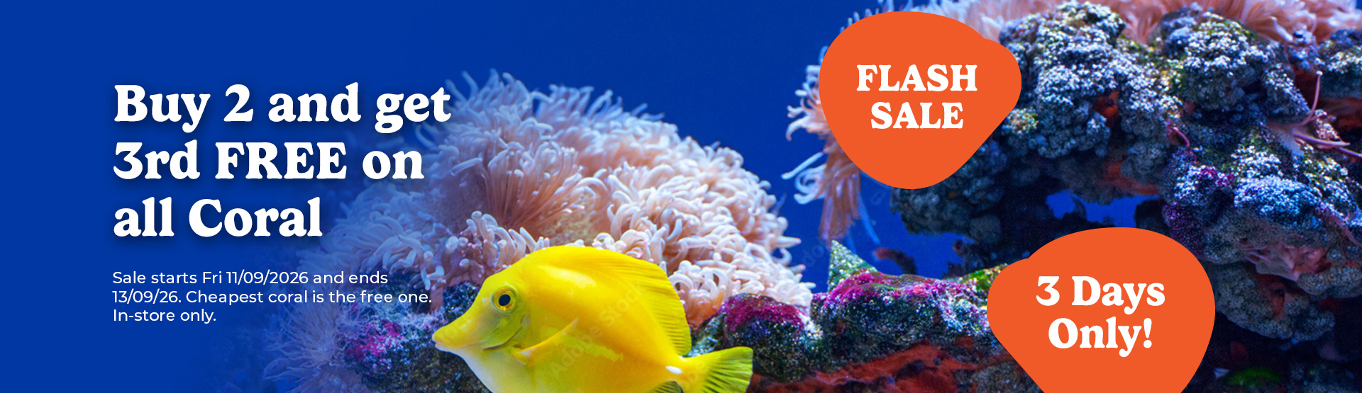 Buy 2 and get 3rd Free on all coral 