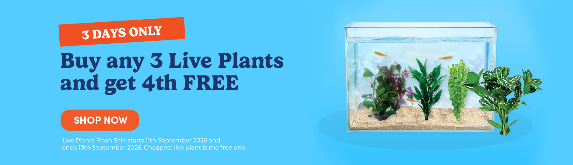 Buy any 3 Live Plants and get 4th FREE