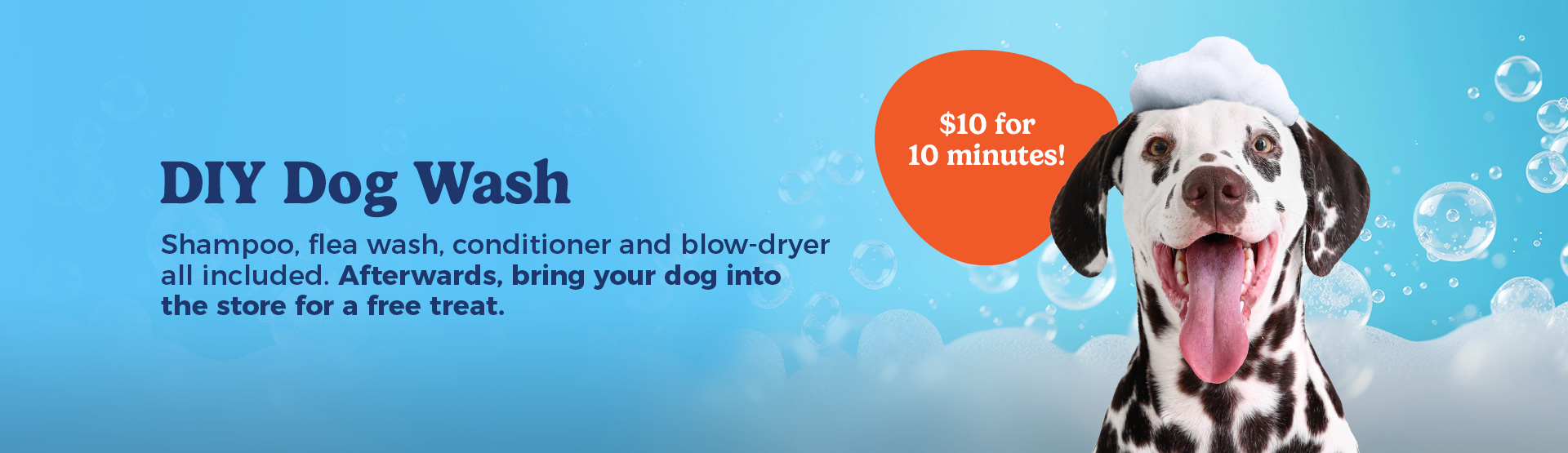 DIY Dog Wash