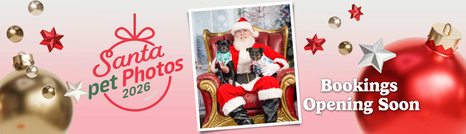 Santa Pet Photos 2026 Booking Soon