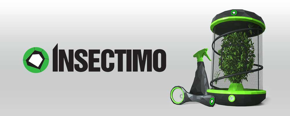 Insectimo Stick Insect Enclosure and Accessories
