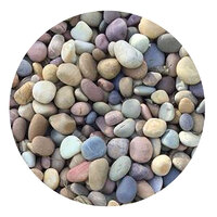 Reptile Rocks Large Mixed Pebbles 10kg