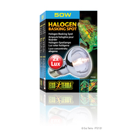 Exo Terra Halogen Basking Spot 50w