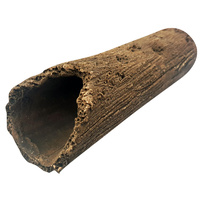 Ceramic Bristlenose Tunnel Large