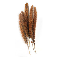 Millet Spray Red Millet 250g