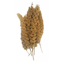 Millet Spray Panorama 1kg