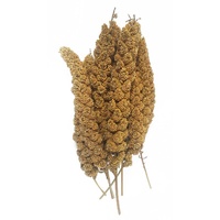 Millet Spray Panorama 250g