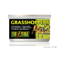 Exo Terra Tinned Grasshoppers Small 34g