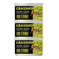 Exo Terra Tinned Grasshoppers Small 34g Bulk (3x Tins)