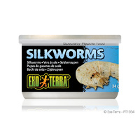 Exo Terra Tinned Silkworms 34g