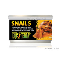 Exo Terra Tinned Snails Unshelled 48g