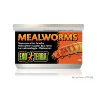 Exo Terra Tinned Mealworms 34g