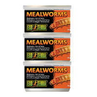 Exo Terra Tinned Mealworms 34g Bulk (3x Tins)