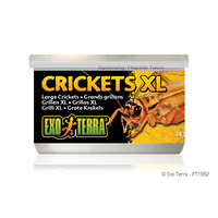 Exo Terra Tinned Crickets XL 34g