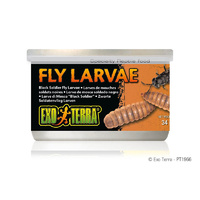 Exo Terra Tinned Fly Larvae 34g